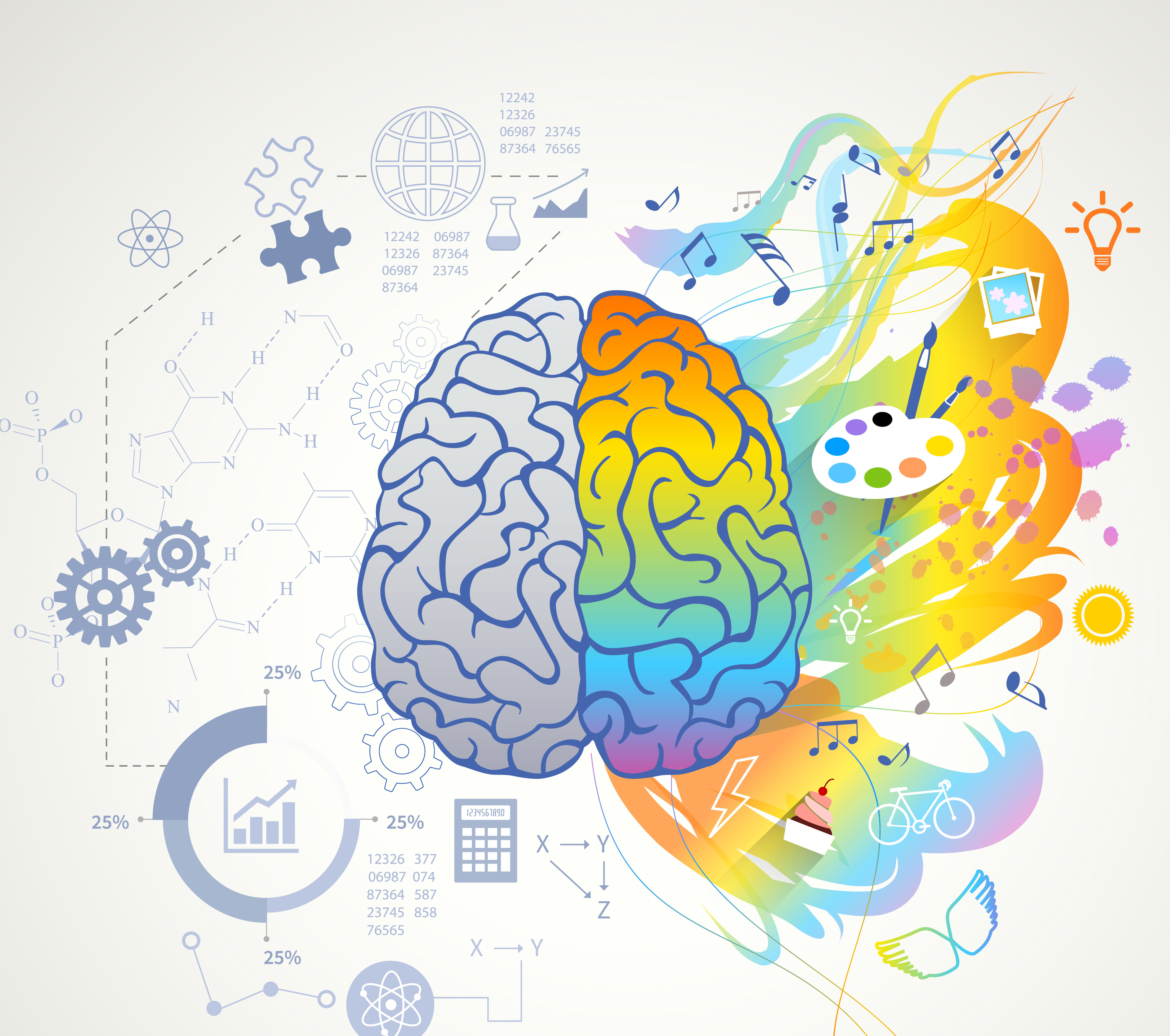 Left Right Brain Concept Infographic vector created by macrovector - www.freepik.com</a>