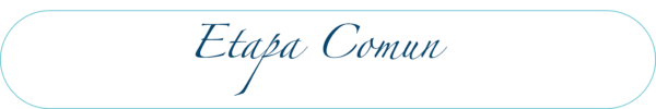 Etapa Comum